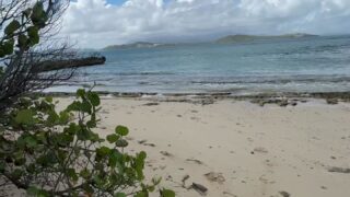 POV blowjob deep throatfuck WoeSenpai swallow