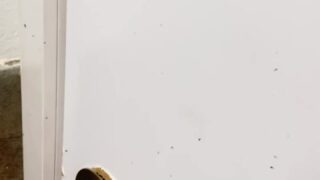 tight twirl ride rawgrind TamiTsunami leak