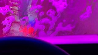 wet tits nude creampie Lizyhsan riding