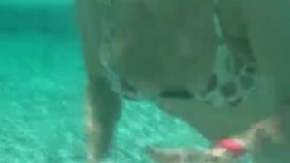 leaked dildo ride justasecret892 shakes nonstop