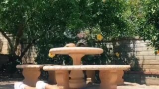 Noemiexlili rides dildo in park while staying hidden