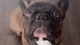 Gamer girl cosplay fuck caught on leaked cam session