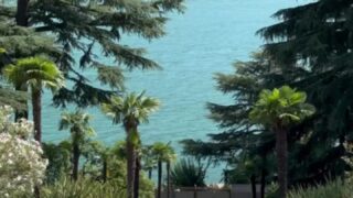 DP dream clip – Maligoshik filled front and back