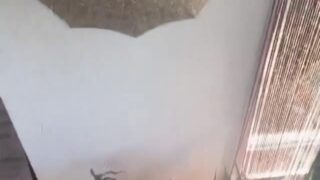 StormiMaya tries anal sex in the kitchen after midnight