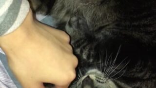 Steamy kitchen striptease with StormiMaya’s tits out