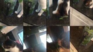 xxxRiley Double Penetration Toy Stuffed Gaping Hard